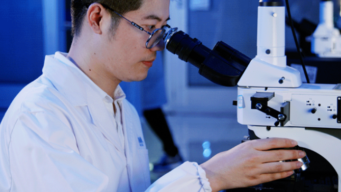 blb百乐博-非凡设想