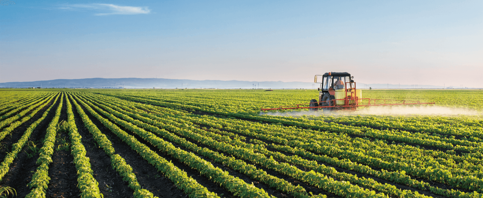 blb百乐博-非凡设想